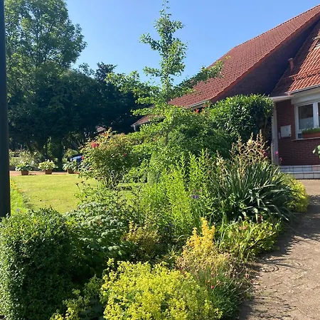 Ferienwohnung Waldhoehe Direkt Am Nationalpark - Ladestation Fuer E-Auto - Sonniger Balkon Mit Bergblick Bad Harzburg Buitenkant foto
