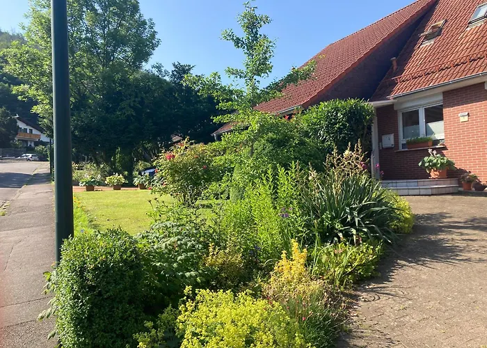 Ferienwohnung Waldhoehe Direkt Am Nationalpark - Ladestation Fuer E-Auto - Sonniger Balkon Mit Bergblick