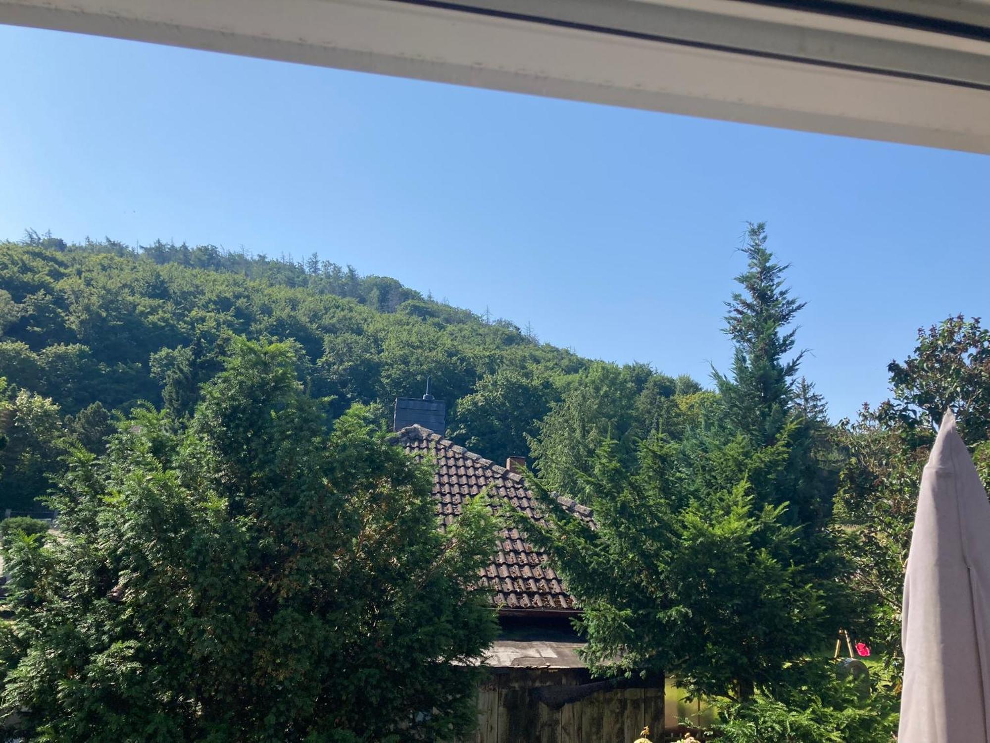 Waldhoehe Direkt Am Nationalpark - Ladestation Fuer E-auto - Sonniger Balkon Mit Bergblick Bad Harzburg