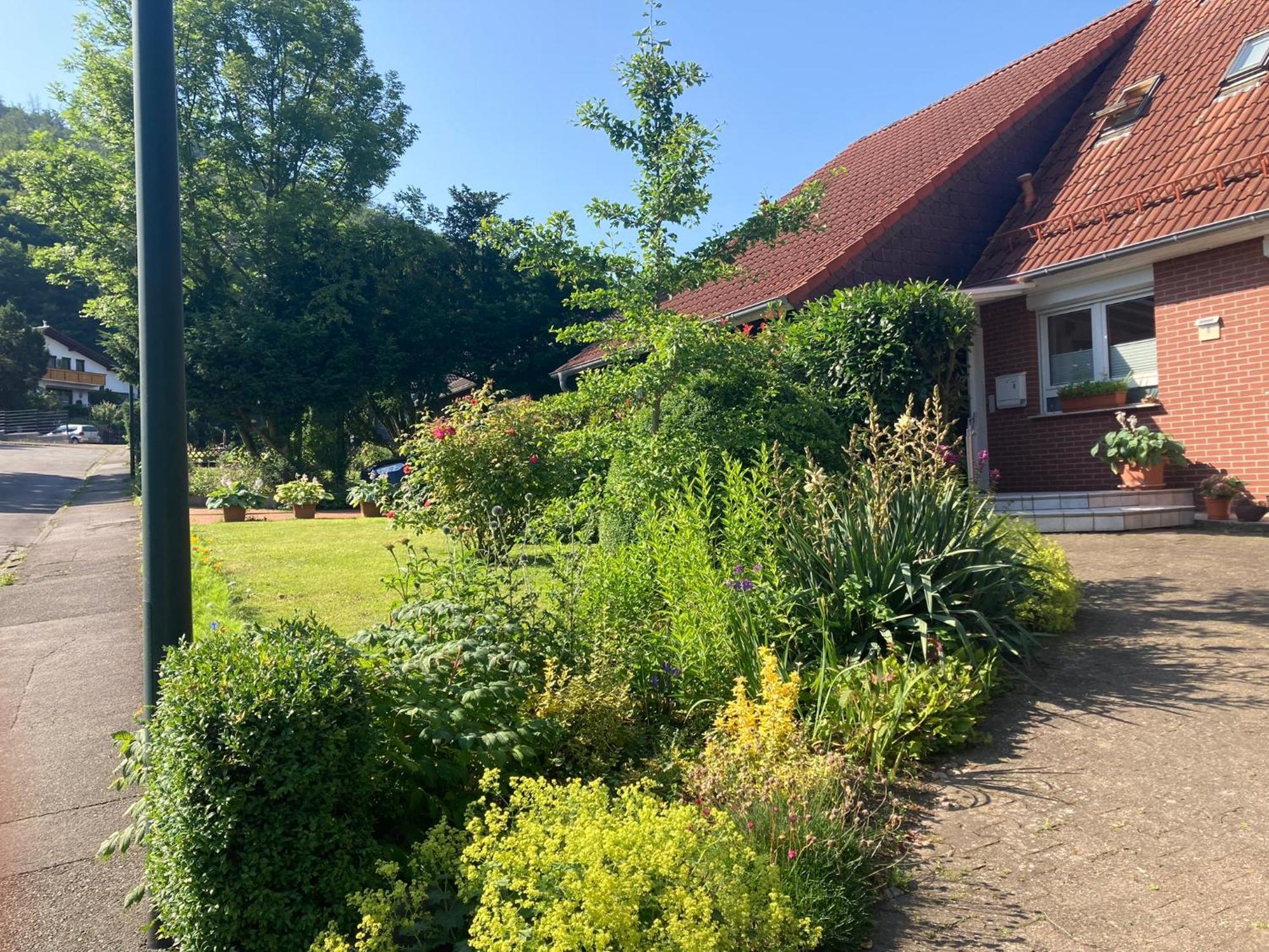 Waldhoehe Direkt Am Nationalpark - Ladestation Fuer E-auto - Sonniger Balkon Mit Bergblick *